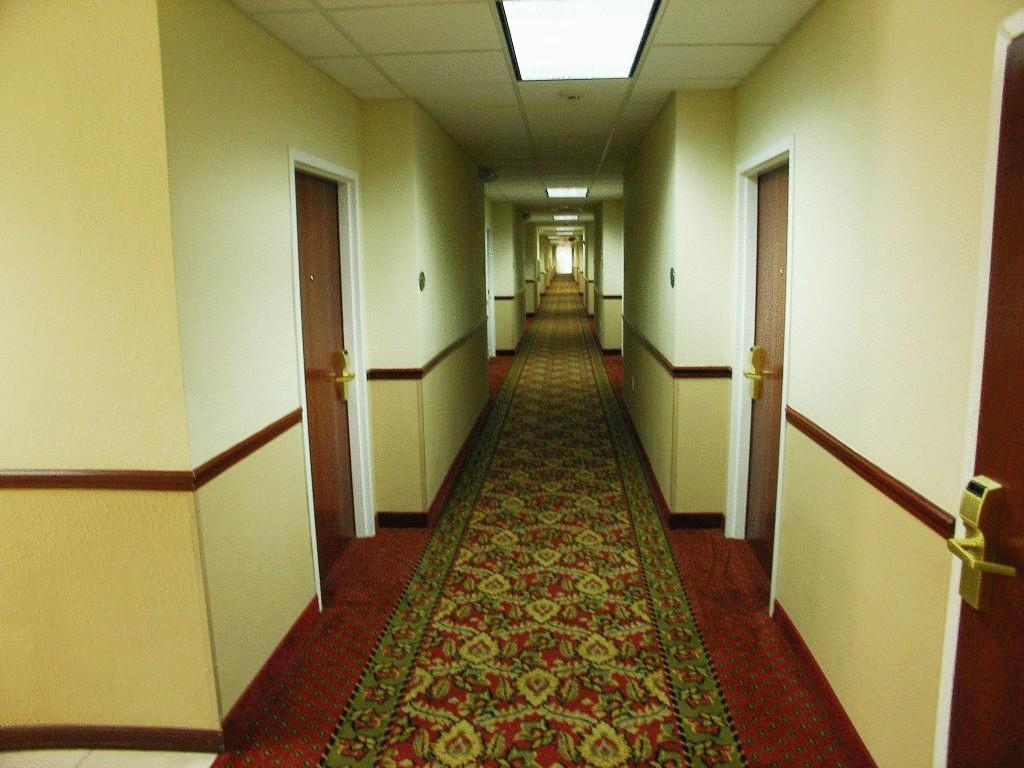Quality Inn Zephyrhills-Dade City Extérieur photo